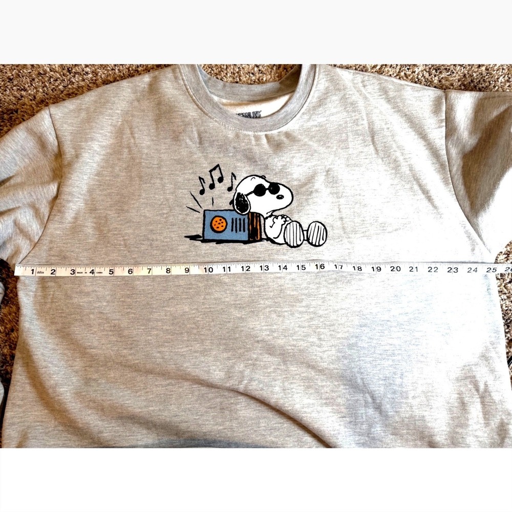 Peanuts Records Snoopy Joe Cool Graphic Sweatshirt Gray XL Freeze 2024 Unisex - Picture 6 of 9